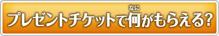 プレゼント応募チケットで何がもらえる？